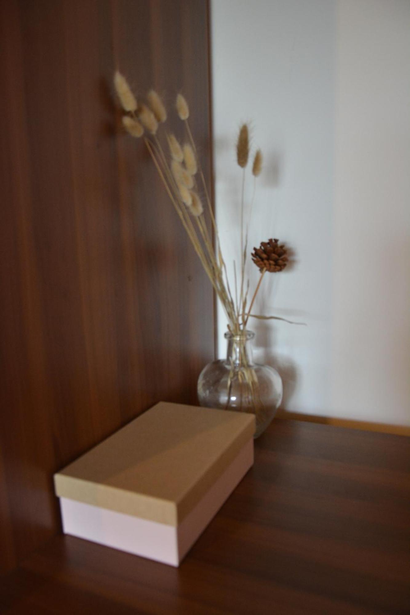 Apartmaji Kobal Zoll Εξωτερικό φωτογραφία